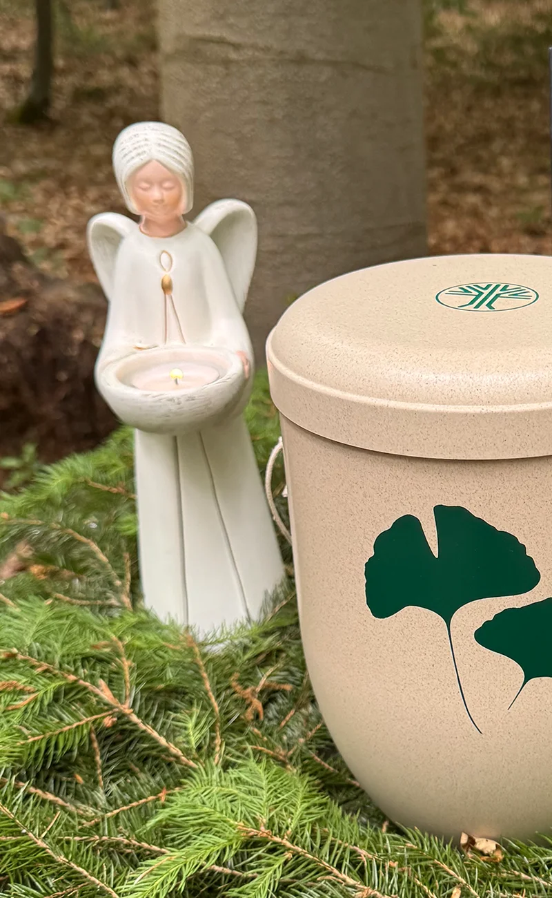 Bestattung Hilgers FriedWald