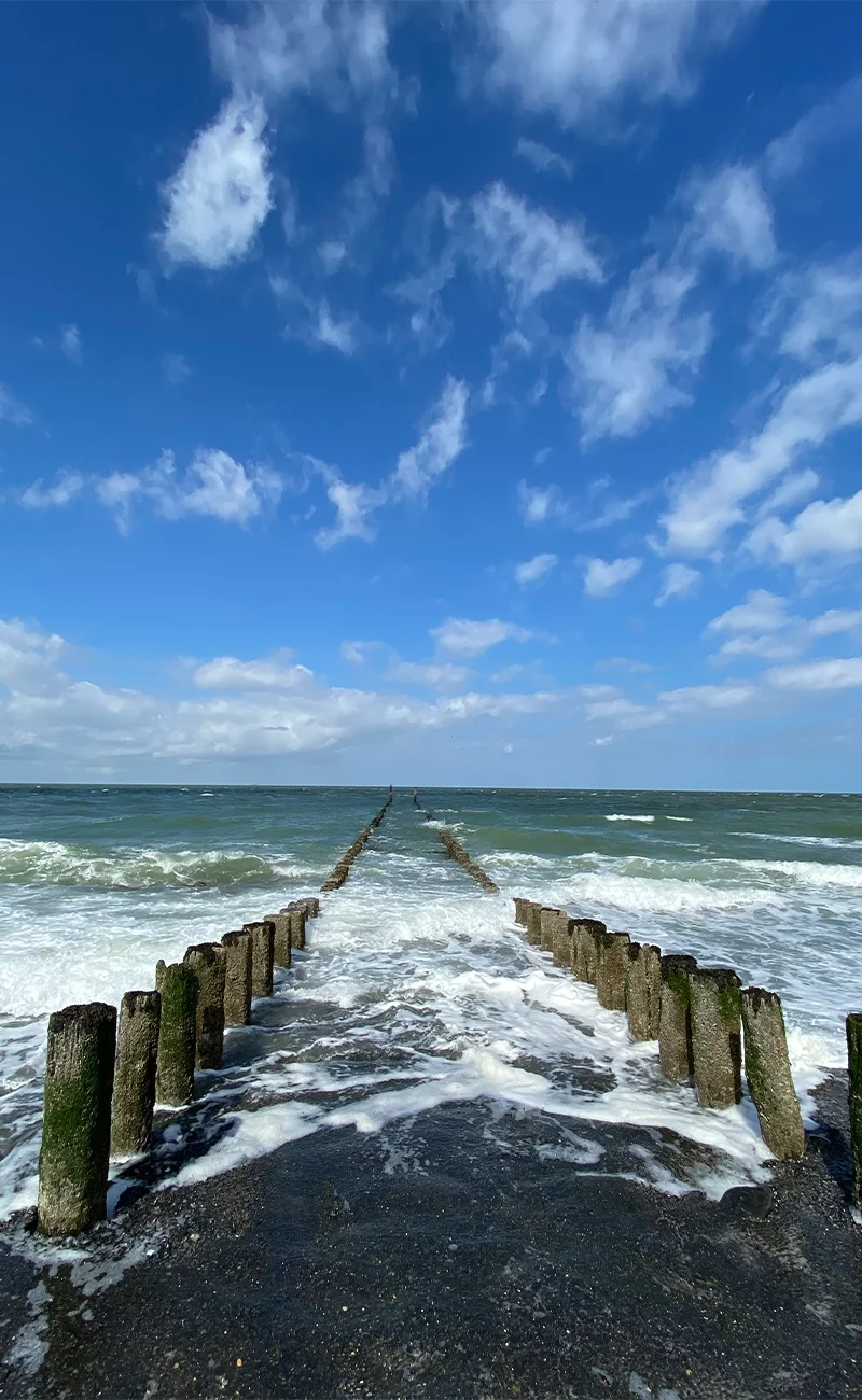 Bestattung Hilgers Seebestattung